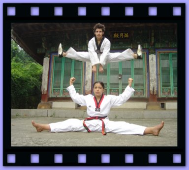Taekwondo core
