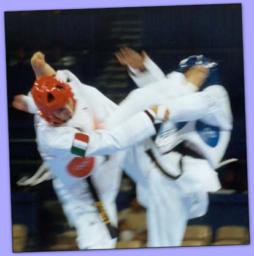 taekwondo combat