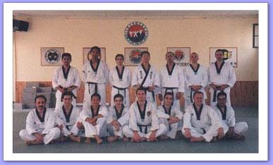 taekwondo lee kwan young