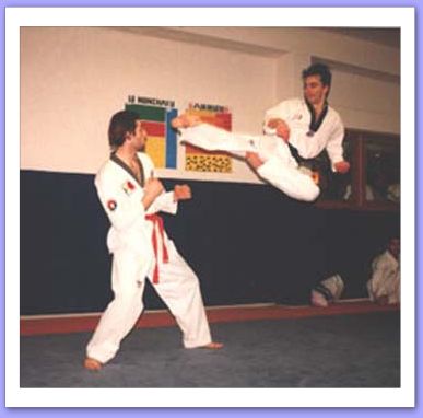 taekwondo kicks